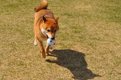 DSC_0057_20130414230417.jpg