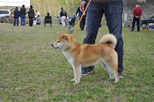 DSC_0074.jpg