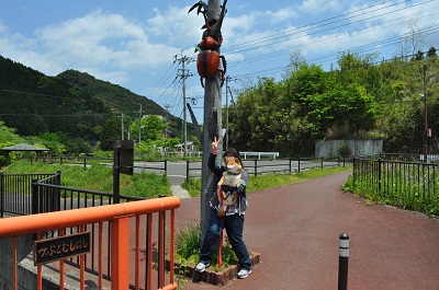 DSC_0082_20130504133910.jpg