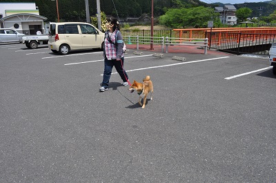 DSC_0101_20130504134058.jpg