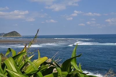 DSC_0104_20121104032126.jpg