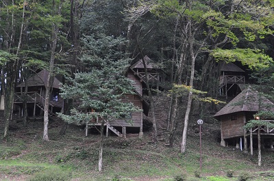 DSC_0107.jpg