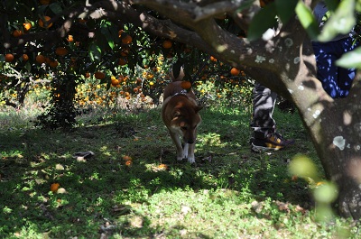 DSC_0110.jpg