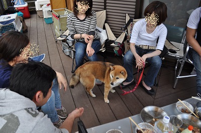 DSC_0112.jpg