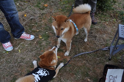 DSC_0113.jpg