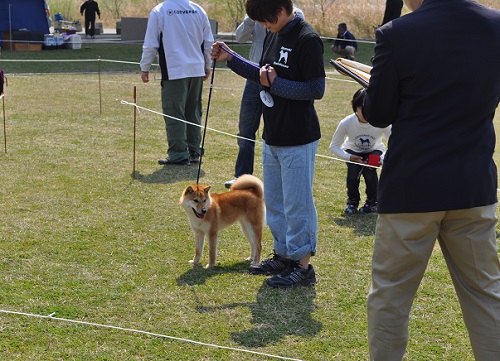 DSC_0121.jpg