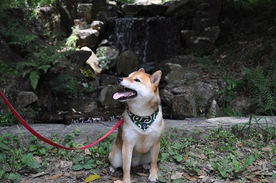 DSC_0124.jpg