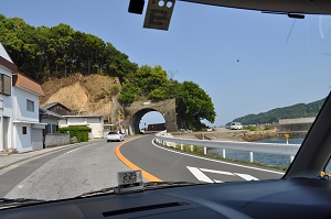 DSC_0131_20130505224238.jpg