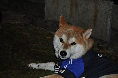 DSC_0138.jpg