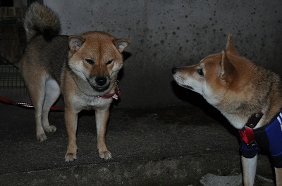 DSC_0144.jpg