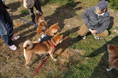 DSC_0144_20121212174312.jpg