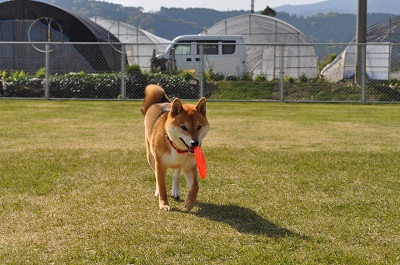 DSC_0154-1.jpg