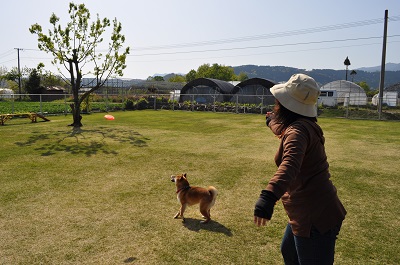DSC_0157_20130414230413.jpg