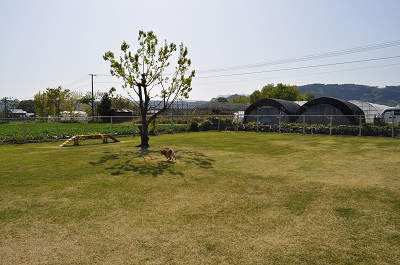 DSC_0158_20130414230412.jpg