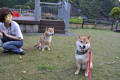 DSC_0174_20130411002842.jpg