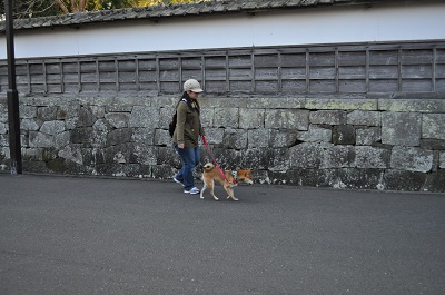 DSC_0179.jpg