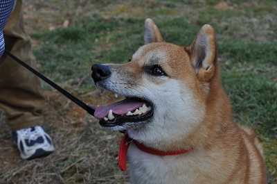 DSC_0182.jpg