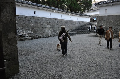 DSC_0185.jpg
