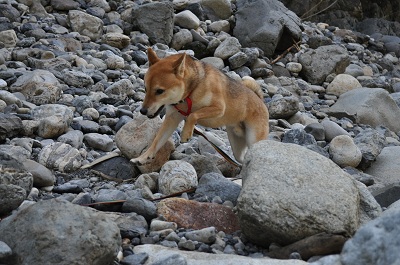 DSC_0209.jpg