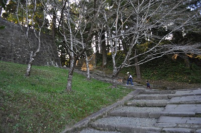 DSC_0211.jpg
