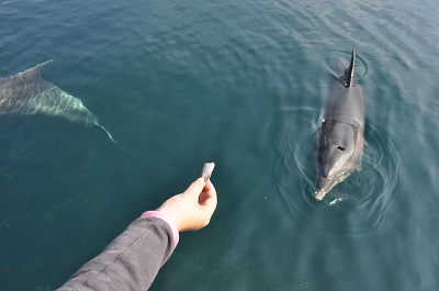 DSC_0239.jpg