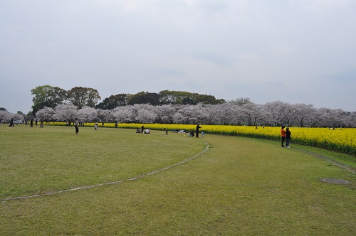 DSC_0275.jpg