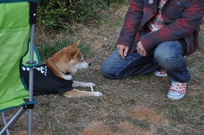 DSC_0324.jpg
