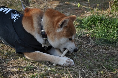 DSC_0326.jpg