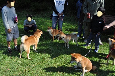 DSC_0362_20121010235420.jpg
