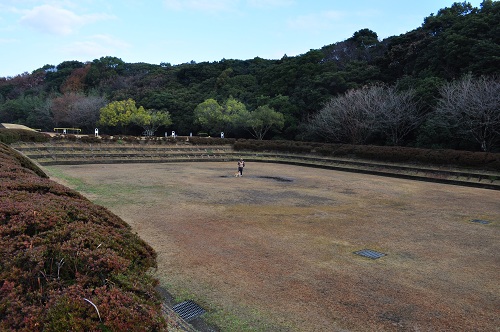 DSC_0444.jpg