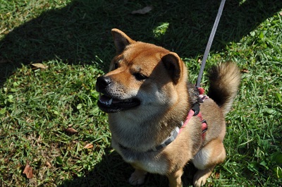 DSC_0457.jpg