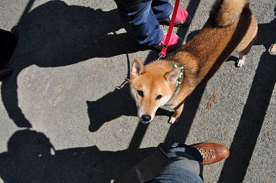 DSC_0485.jpg