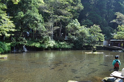 DSC_0503.jpg