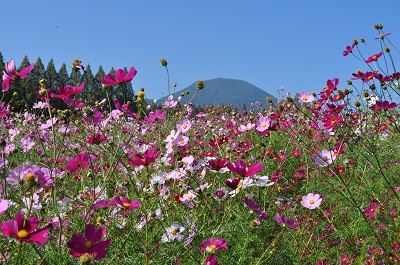 DSC_0583.jpg