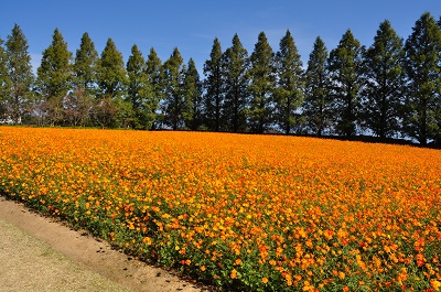 DSC_0632.jpg