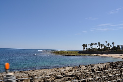 DSC_0719.jpg
