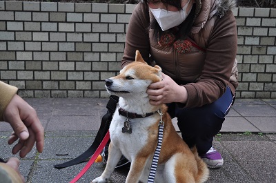 DSC_0854.jpg
