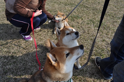 DSC_0973.jpg