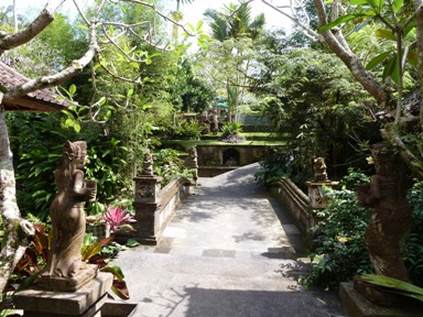 p11.jpg