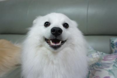 ニヤけるでしゅ♪