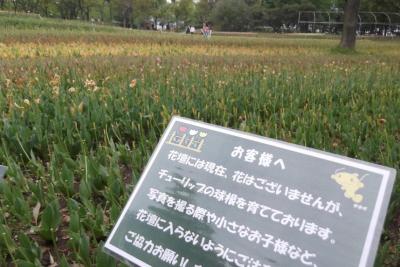 貴重だわ・・・