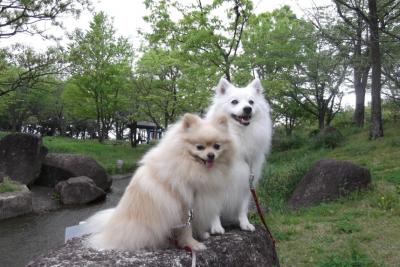 3年前もここで撮ったでしゅよ