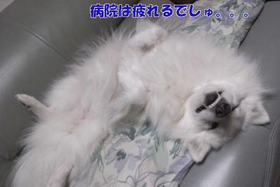 ぐごぉーーー