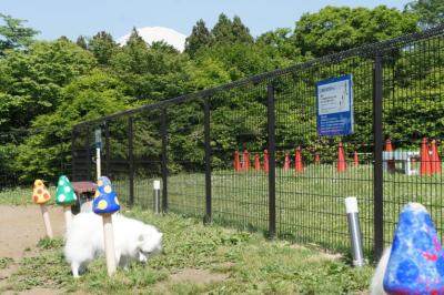 地質調査するでしゅ