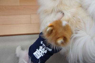 よいしょっ!