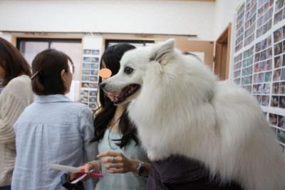 アルバ君