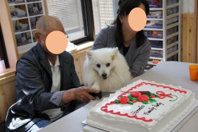 ケーキ入刀