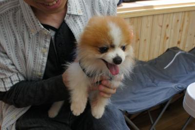 アルちゃん