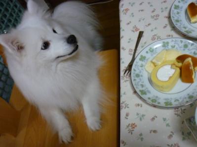 おうちカフェ♪