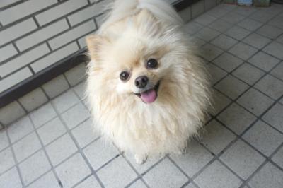 楽しかったでちよ♪